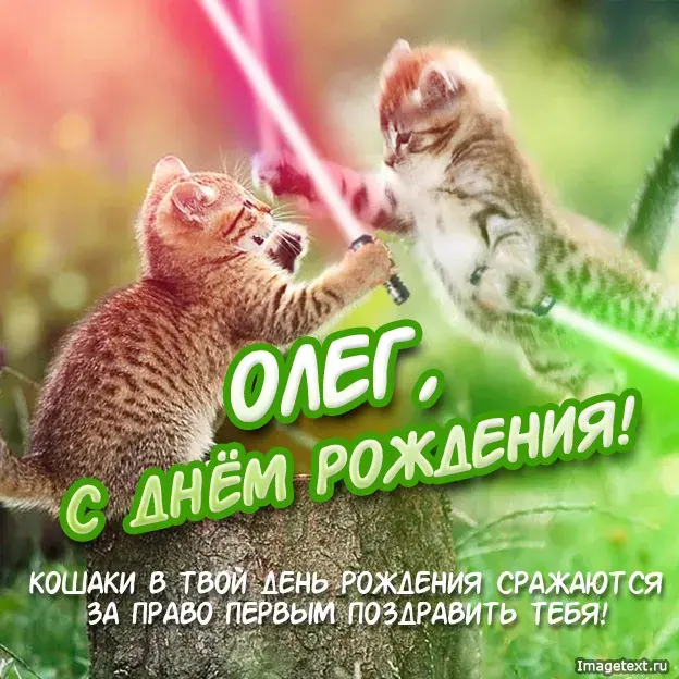 Открытка Открытки с именем Олег  - С Днём Рождения! Открытка с котятами | Красивая открытка #181