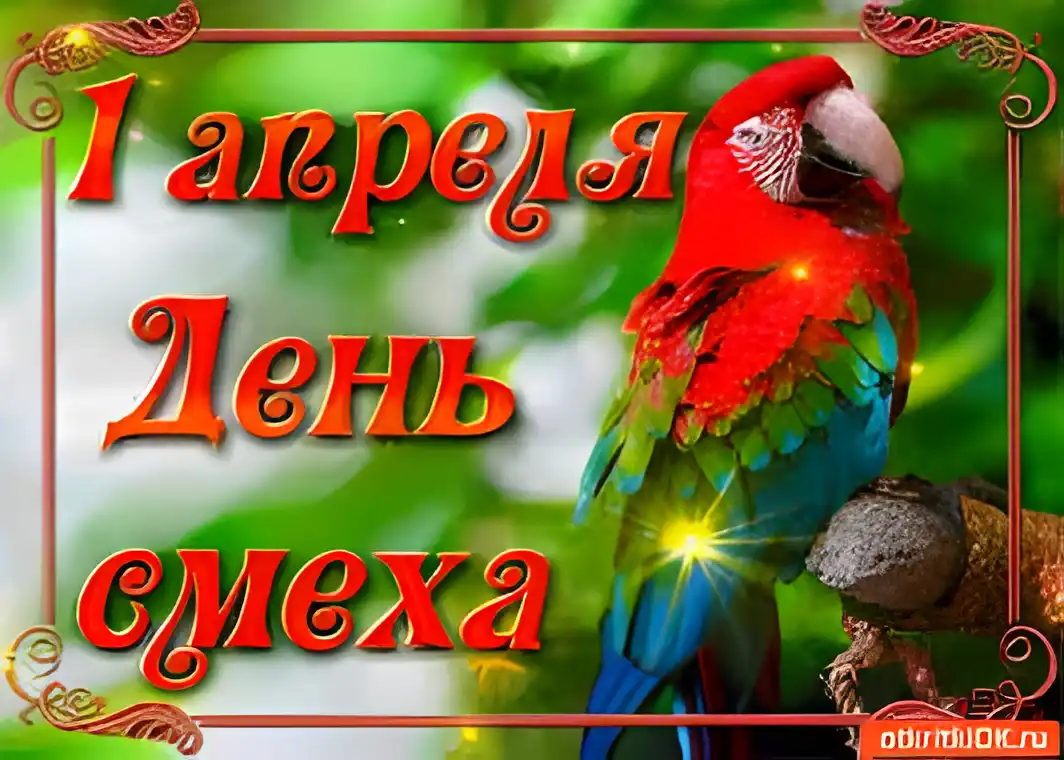 Открытка 1 апреля - Открытка с попугаем: яркая, забавная, с надписью | Красивая открытка #88