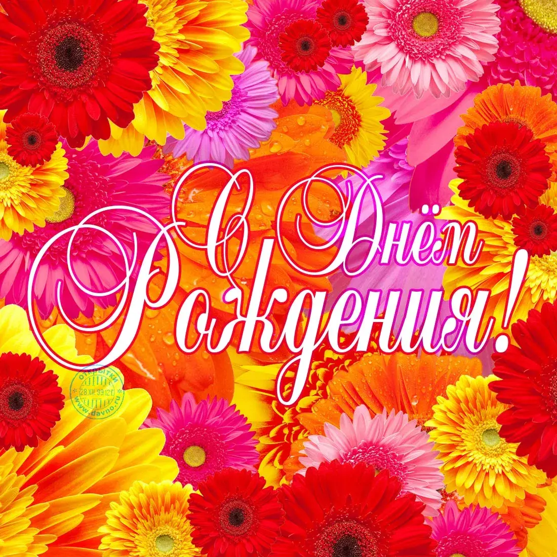 Открытка С герберами - Открытка "С Днём Рождения" с цветами | Красивая открытка #86