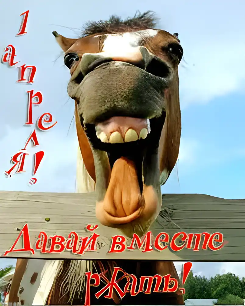 Открытка 1 апреля - Лошадь с открытым ртом: смешная открытка | Красивая открытка #44