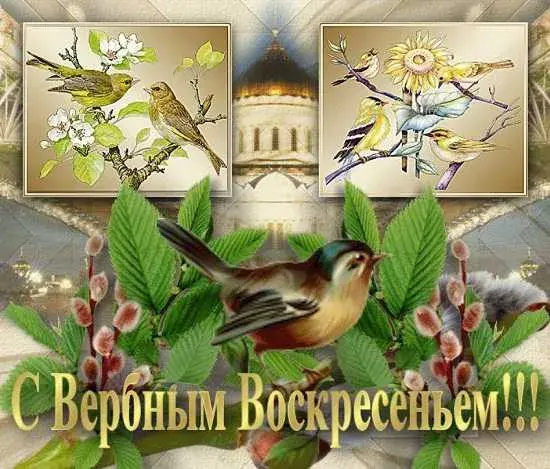 Открытка С вербным воскресеньем - Открытка с вербой и птицами: С Рождеством Христовым! | Красивая открытка #233