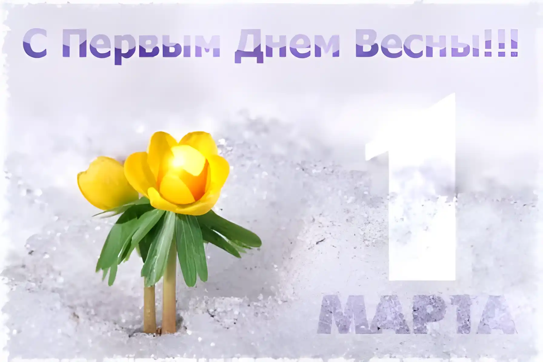 Открытка  С первым днем весны - Первый подснежник на снегу: открытка с весной | Красивая открытка #82