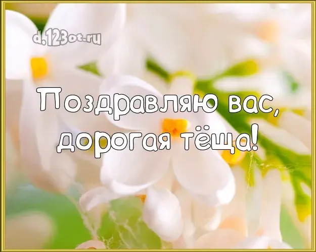 Открытка С днем рождения теща - Открытка с белыми цветами и жёлтой сердцевиной | Красивая открытка #11