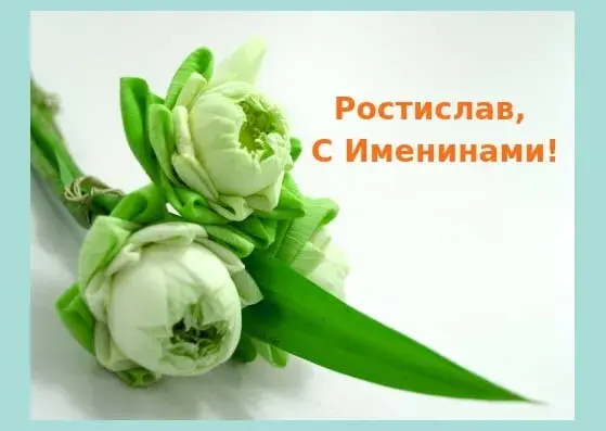 Открытка Открытки с именем Ростислав  - Белые цветы на зеленой основе | Красивая открытка #86