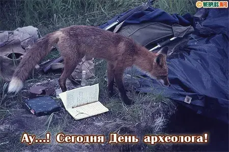 Открытка С днем археолога - Лиса и археология: Прикольная открытка с находками | Красивая открытка #40