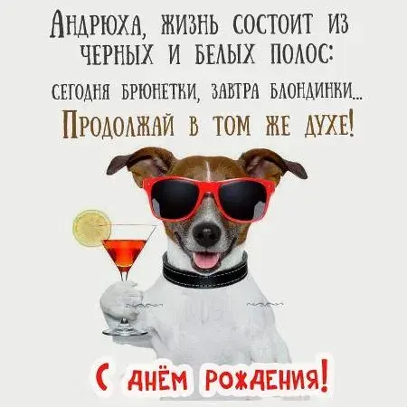 Открытка открытки с именем Андрей - Собака с коктейлем: смешная открытка на день рождения | Красивая открытка #264