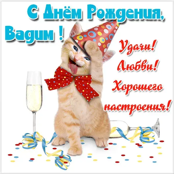 Открытка открытки с именем Вадим - Кот в колпаке с бокалом шампанского | Красивая открытка #92