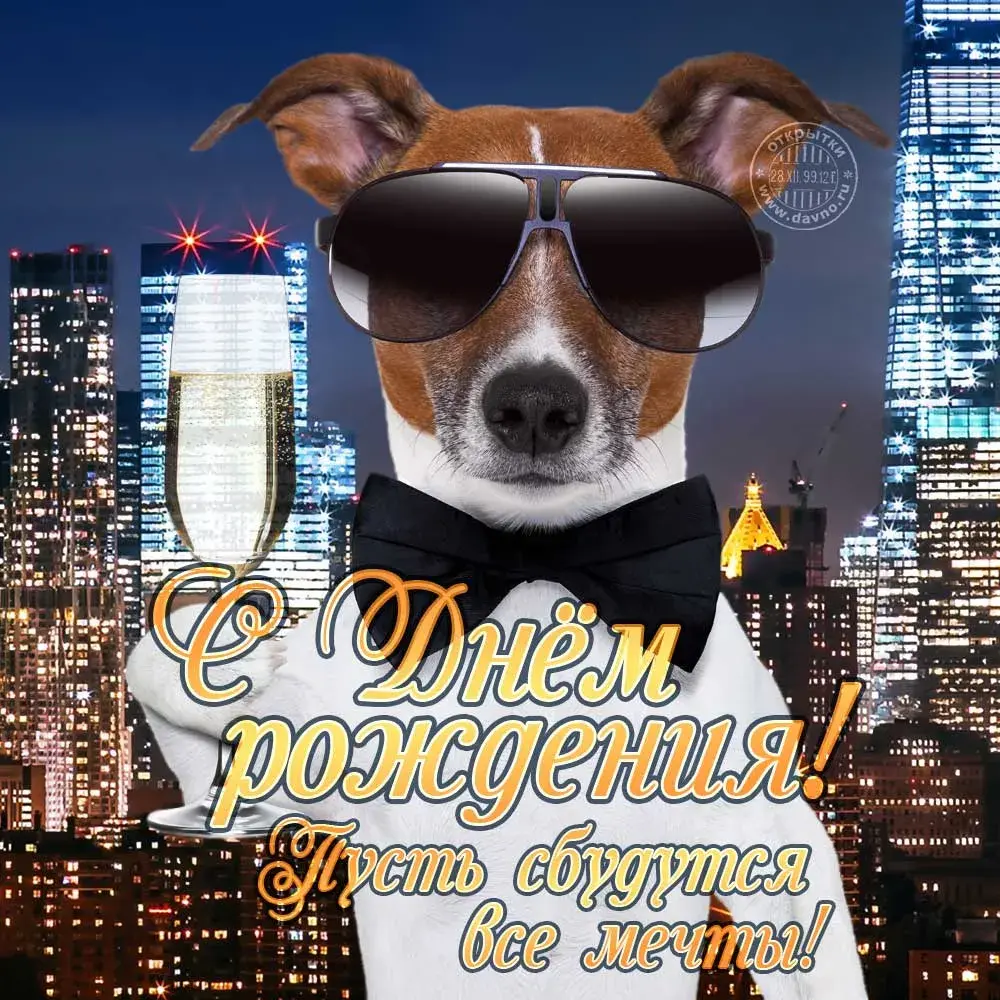 Открытка с днём рождения для мужчины - С Днём рождения!  Открытка с пёсиком | Красивая открытка #21