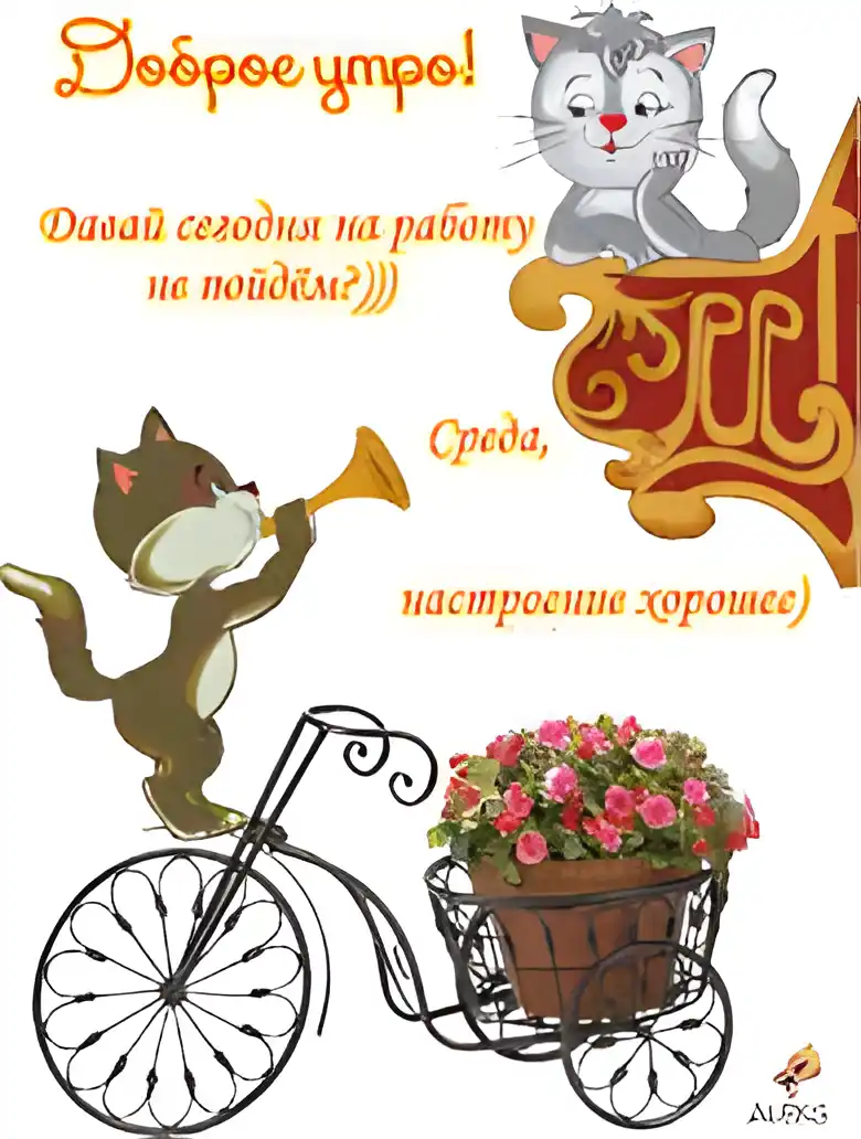 Открытка Открытки на среду - Открытка с котами и велосипедом | Красивая открытка #220