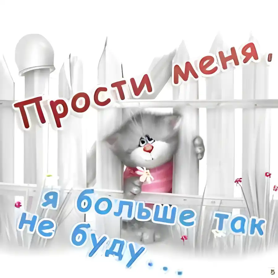 Открытка Прости - Милый котёнок на заборе: открытка с цветочком | Красивая открытка #8