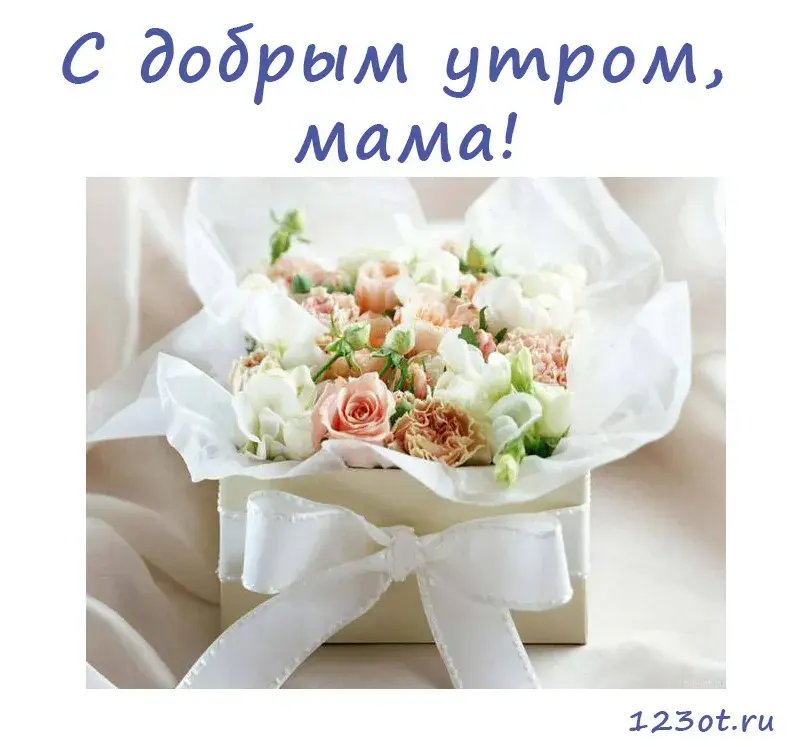 Открытка Доброе утро - Открытка с букетом белых цветов в подарочной коробке | Красивая открытка #396