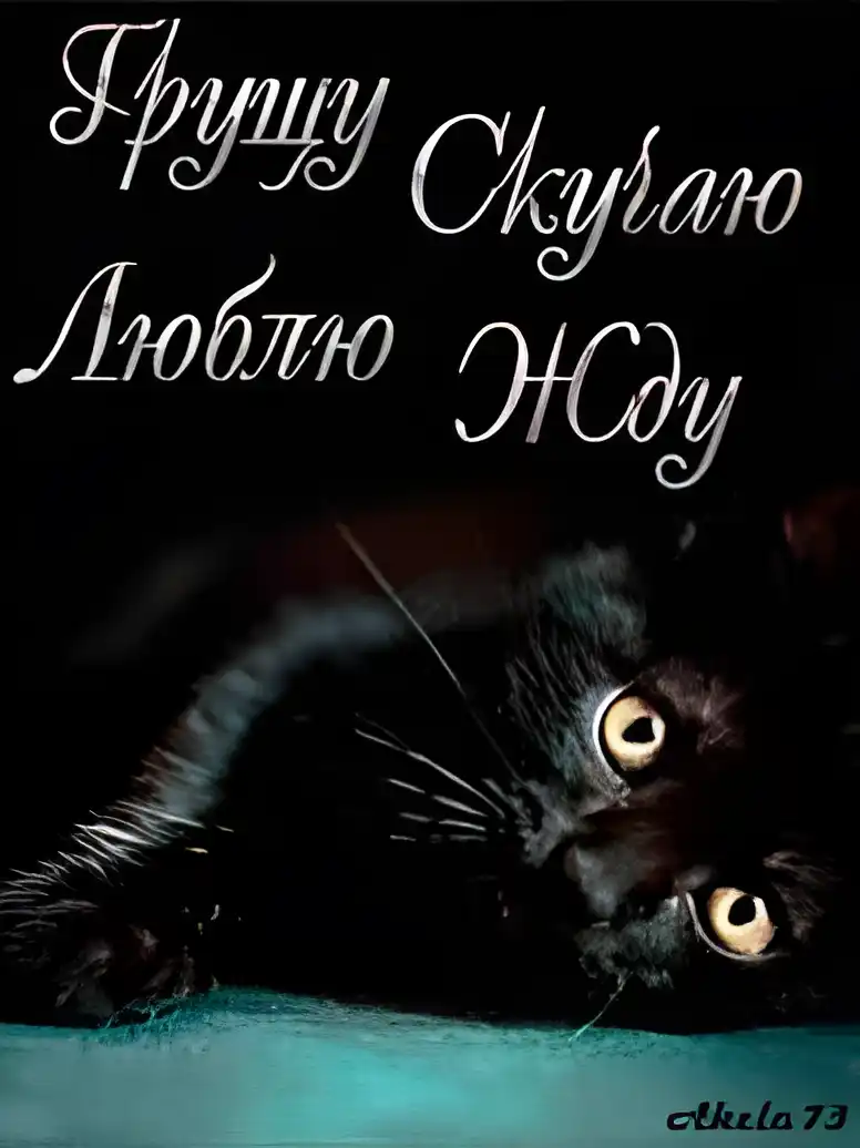 Открытка Открытки скучаю по тебе - Чёрный кот на открытке: милая иллюстрация | Красивая открытка #129