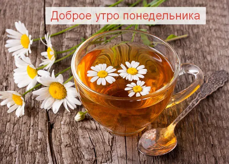 Открытка Доброе утро понедельник - Открытка с ромашками и чаем: нежное утро | Красивая открытка #12