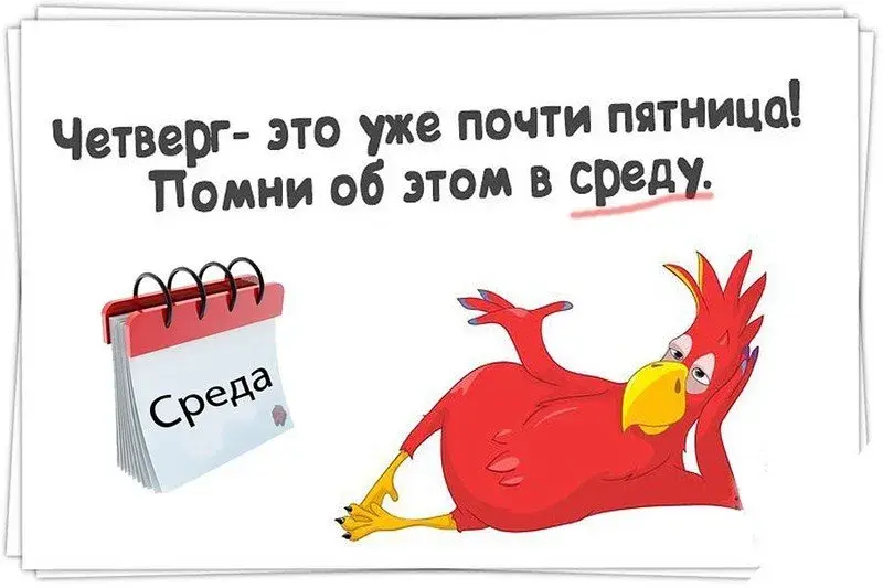 Открытка Среда - Красный попугай на календаре  забавная открытка | Красивая открытка #48
