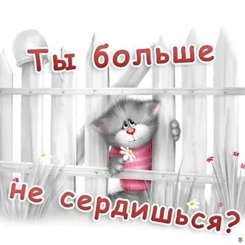 Открытка Прости - Открытка с милым котенком за забором | Красивая открытка #97