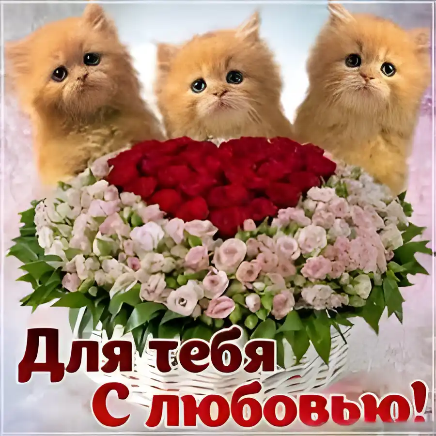 Открытка Открытки для тебя - Открытка с цветами и котятами — Поздравление с любовью | Красивая открытка #140