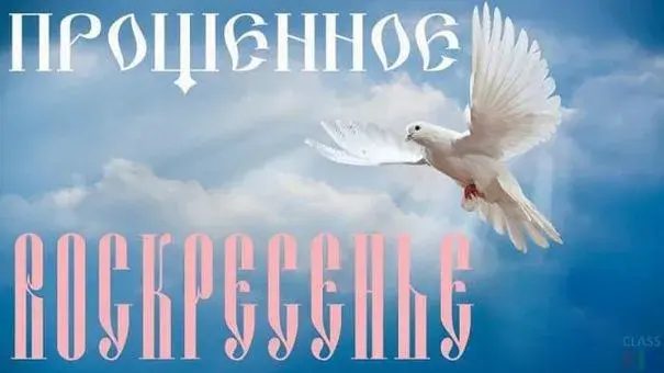 Открытка открытки на прощеное воскресенье  - Белый голубь на фоне облаков: открытка | Красивая открытка #51