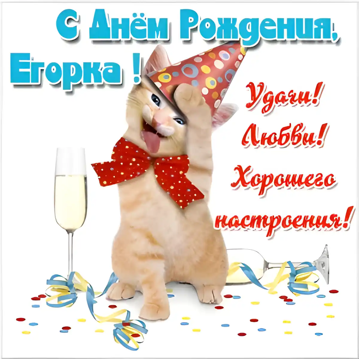 Открытка открытки с именем Егор - Открытка с котенком: поздравления с праздником | Красивая открытка #33