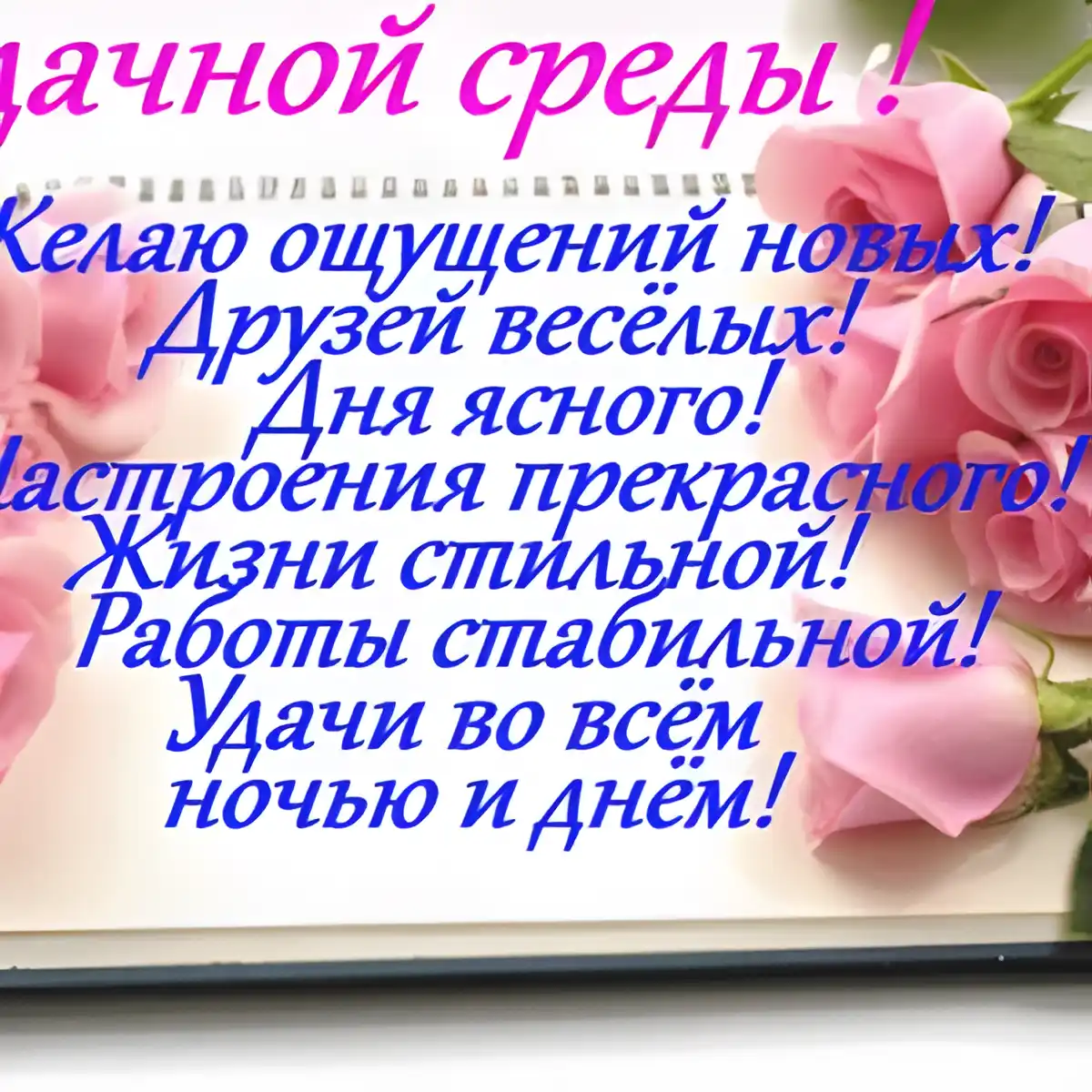 Открытка Открытки на среду - Розы на открытке: Красивая открытка с розами | Красивая открытка #223