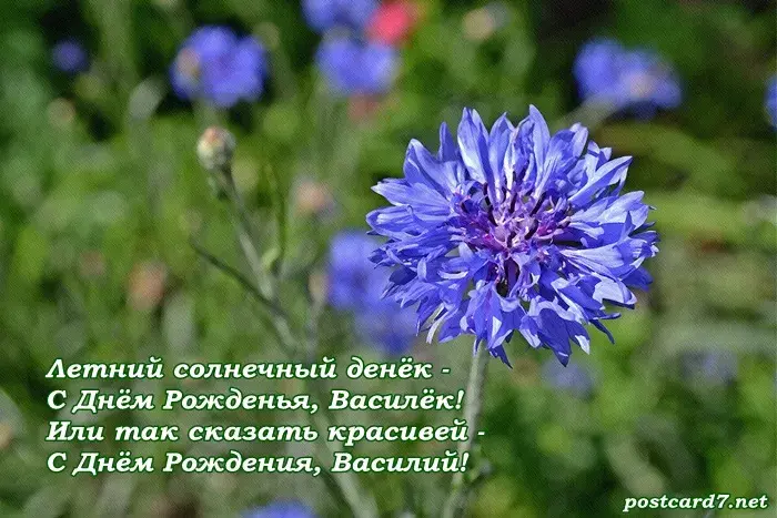 Открытка С васильками - Открытка с синими цветами: С Днём Рождения! | Красивая открытка #39