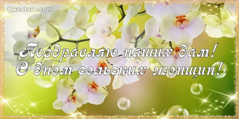 Открытка Всемирный день сельских женщин - Открытка с белыми цветами: поздравления и пожелания | Красивая открытка #1