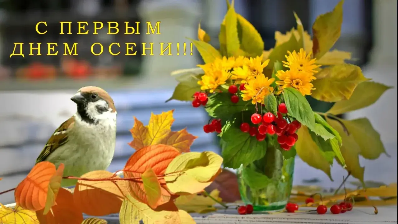 Открытка С первым днём осени - Листья, рябина и птица: осенняя открытка | Красивая открытка #39