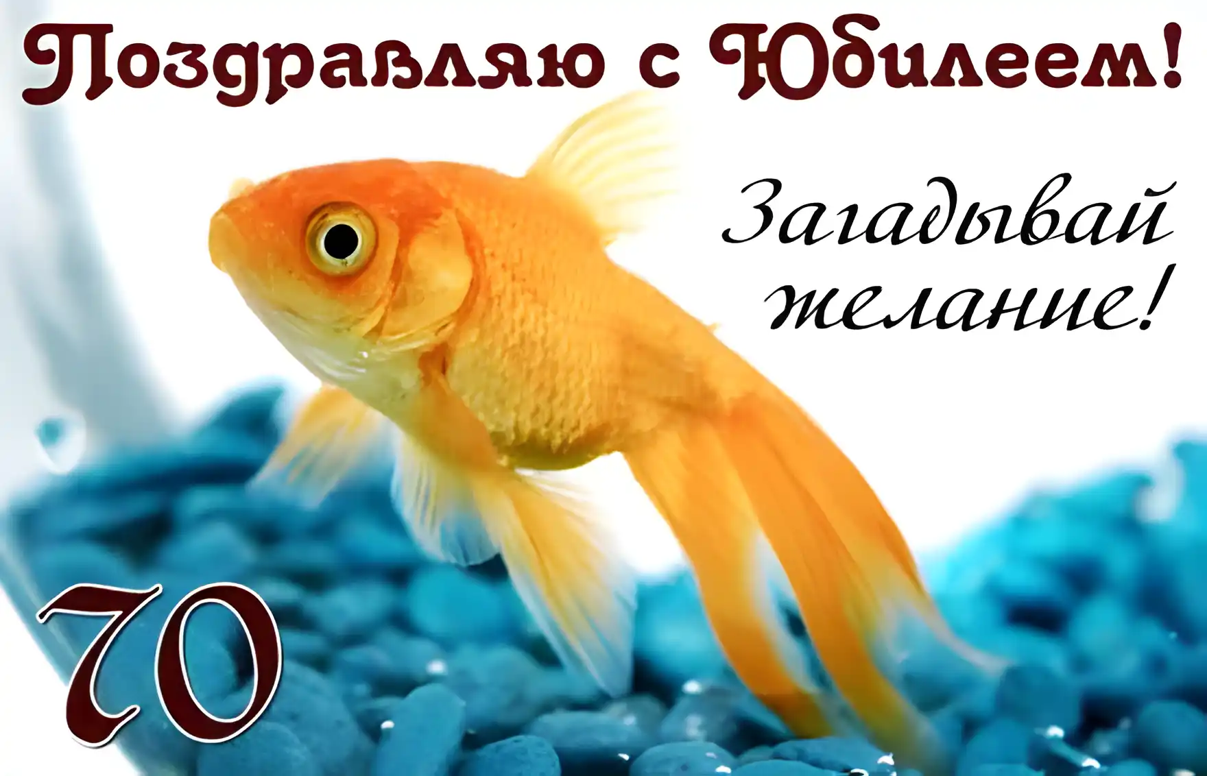 Открытка Открытки на 70 лет - Золотая рыбка на фоне синего камня | Красивая открытка #88