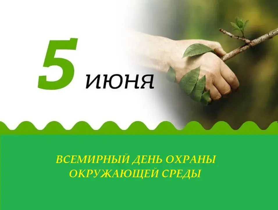 Открытка С днем охраны окружающей среды - День окружающей среды: открытка с веткой | Красивая открытка #3