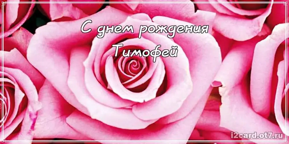 Открытка Открытки с именем Тимофей - Открытка с розами: нежный букет для тебя | Красивая открытка #184