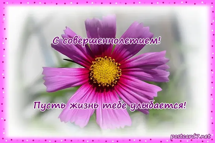 Открытка Открытки на 18 лет - Фиолетовый цветок на открытке | Красивая открытка #55