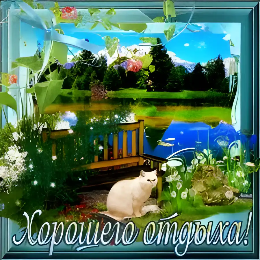 Открытка Хорошего лета - Открытка с кошкой у пруда: природа, цветы, релакс | Красивая открытка #4