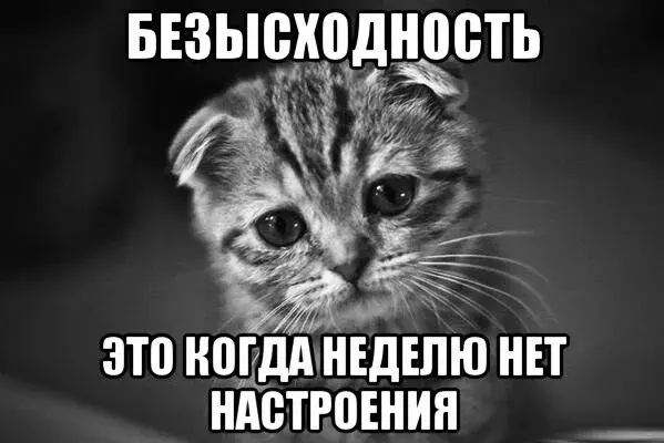 Открытка нет настроения - Грустный котенок: открытка с настроением  Фото | Красивая открытка #1
