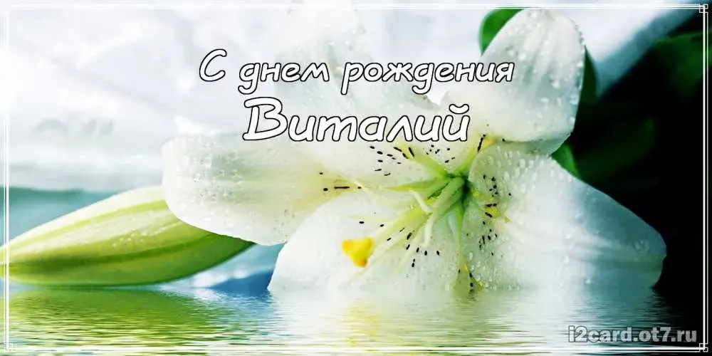 Открытка открытки с именем Виталий - Открытка с лилиями: нежные цветы для поздравлений | Красивая открытка #100