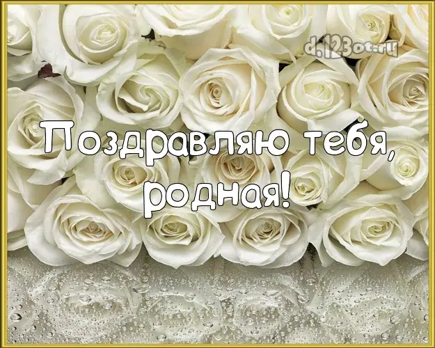 Открытка С белыми розами - Открытка с белыми розами | Красивая открытка #58