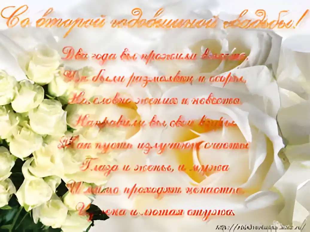 Открытка Открытки на Бумажную свадьбу 2 года - Букет белых роз: открытка с нежностью и красотой | Красивая открытка #91