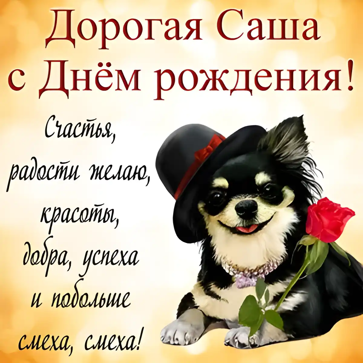 Открытка Открытки с именем Александра - Открытка с щенком в шляпе и с красной розой | Красивая открытка #129