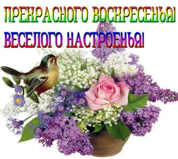 Открытка Удачного воскресенья - Открытка с фиалками, сиренью и розой, птичка | Красивая открытка #1