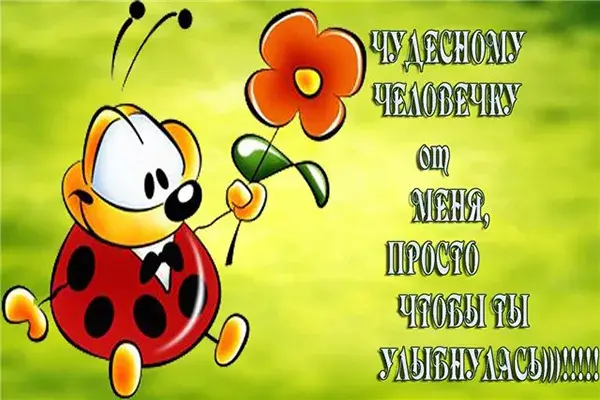 Открытка Улыбнись - Открытка с божьей коровкой и цветком | Красивая открытка #314