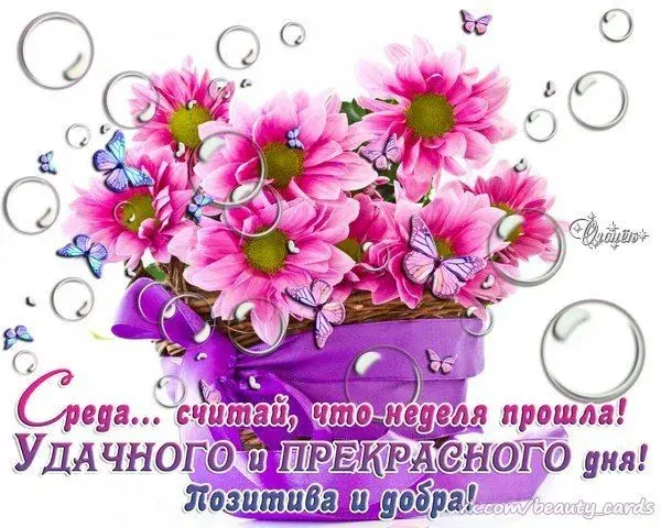 Открытка Открытки на среду - Открытка с розовыми цветами и бабочками | Красивая открытка #226