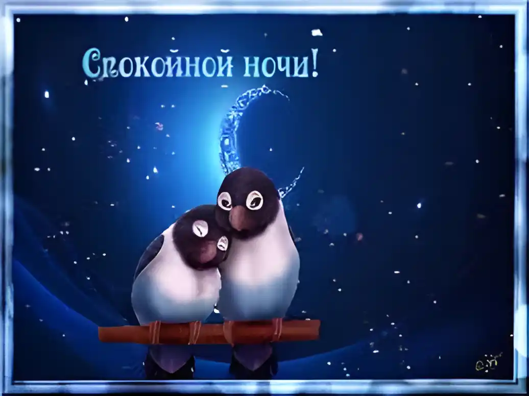 Открытка Спокойной ночи - Две птички на ветке: открытка с добрым вечером | Красивая открытка #228