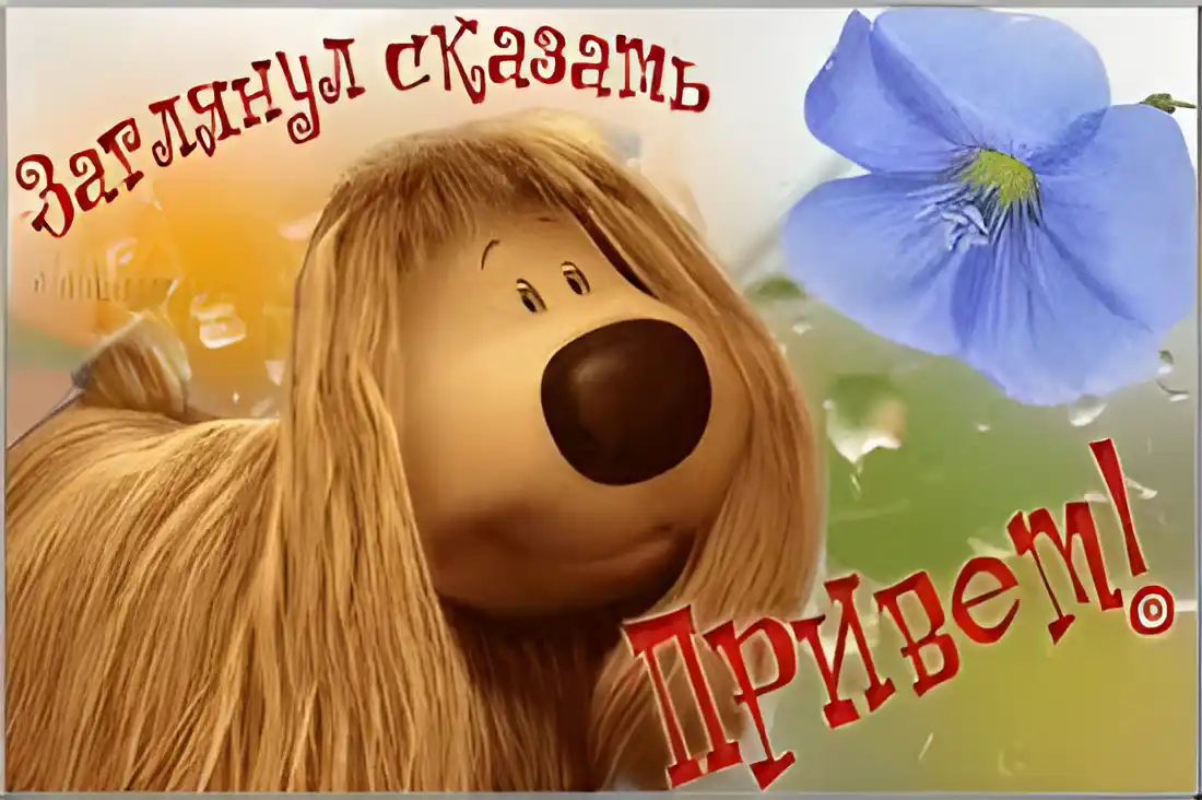 Открытка Привет - Открытка с милым щенком и цветами | Красивая открытка #228