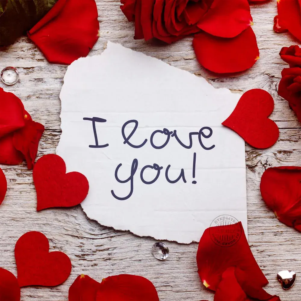 Открытка I love you - Открытка с надписью "I love you" и лепестками роз | Красивая открытка #16