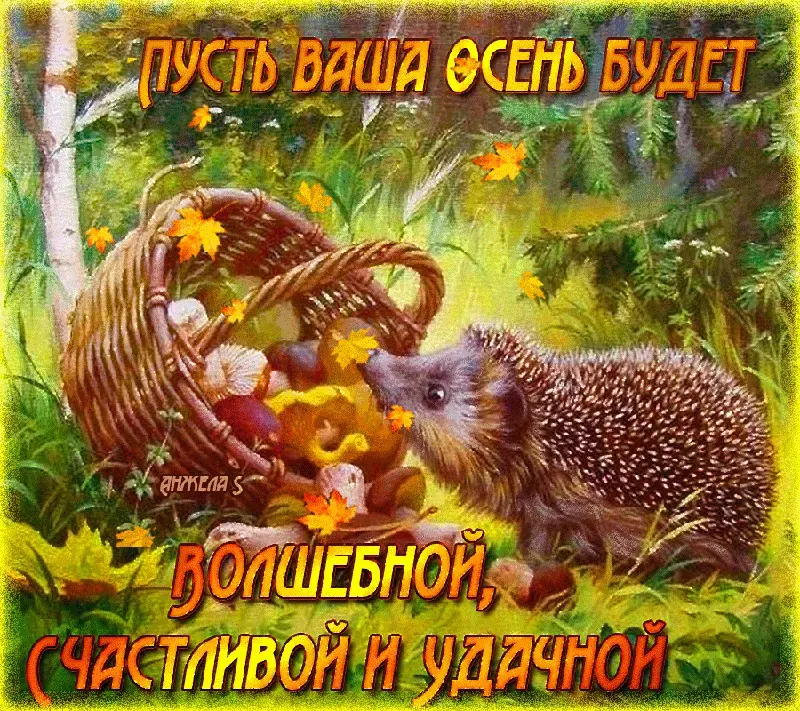 Открытка Открытки с первым днем осени - Ёж с корзиной осенних листьев: открытка с природой | Красивая открытка #6