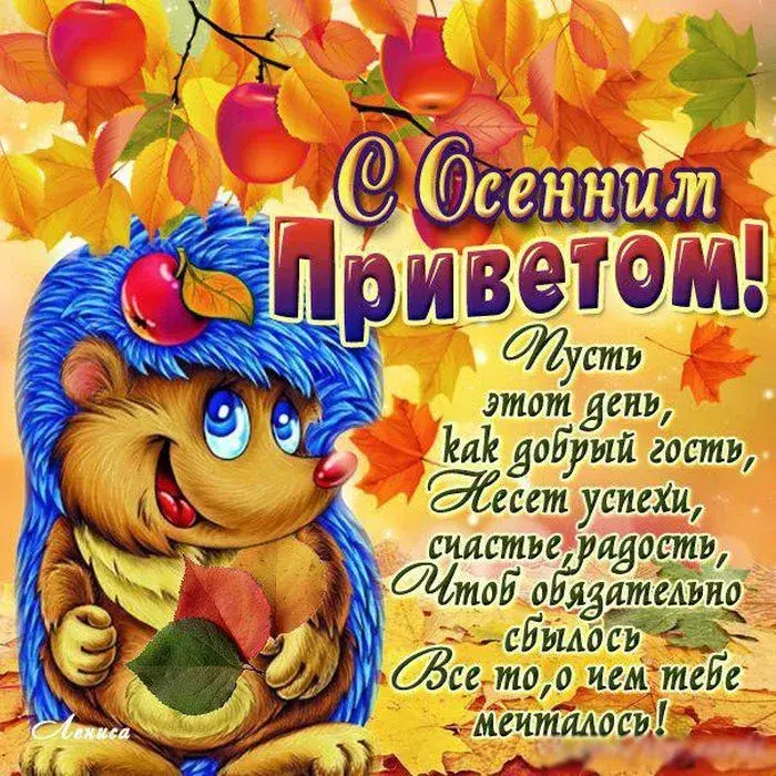Открытка осенний привет - Ежик, осень, радость, успех, привет! | Красивая открытка #22