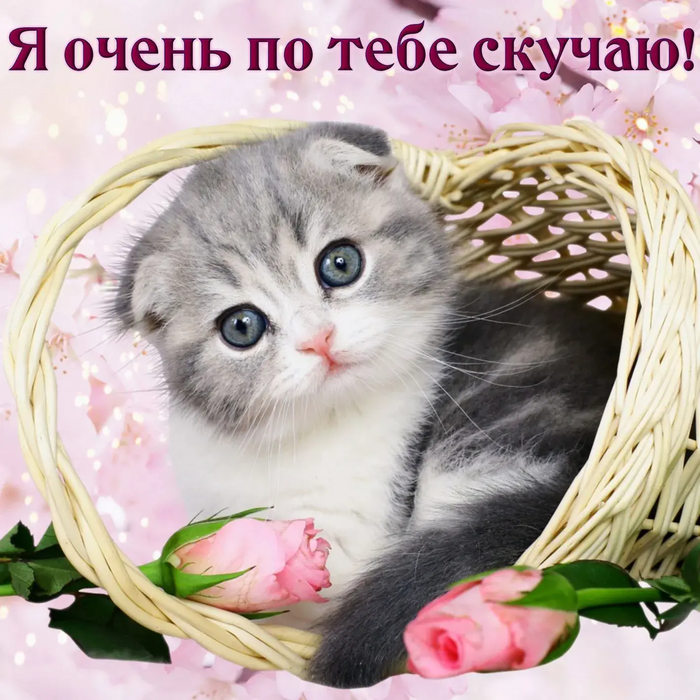 Открытка Скучаю - Милый котенок в корзинке с цветами  Открытка с котенком | Красивая открытка #10