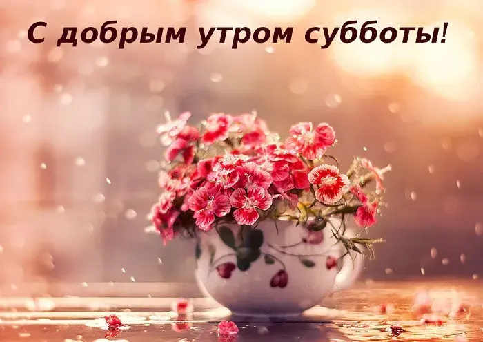Открытка Доброе утро суббота - Букет цветов в вазе: нежная открытка | Красивая открытка #3