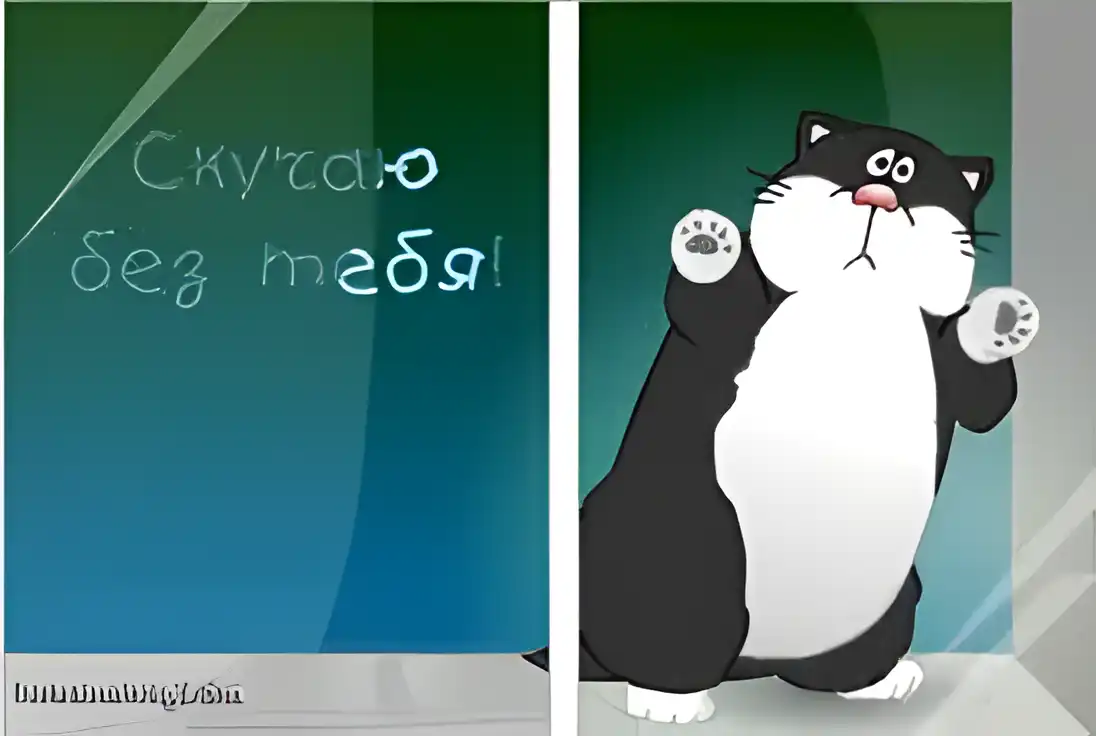Открытка Скучаю - Открытка с котом: милый черно-белый котенок | Красивая открытка #208