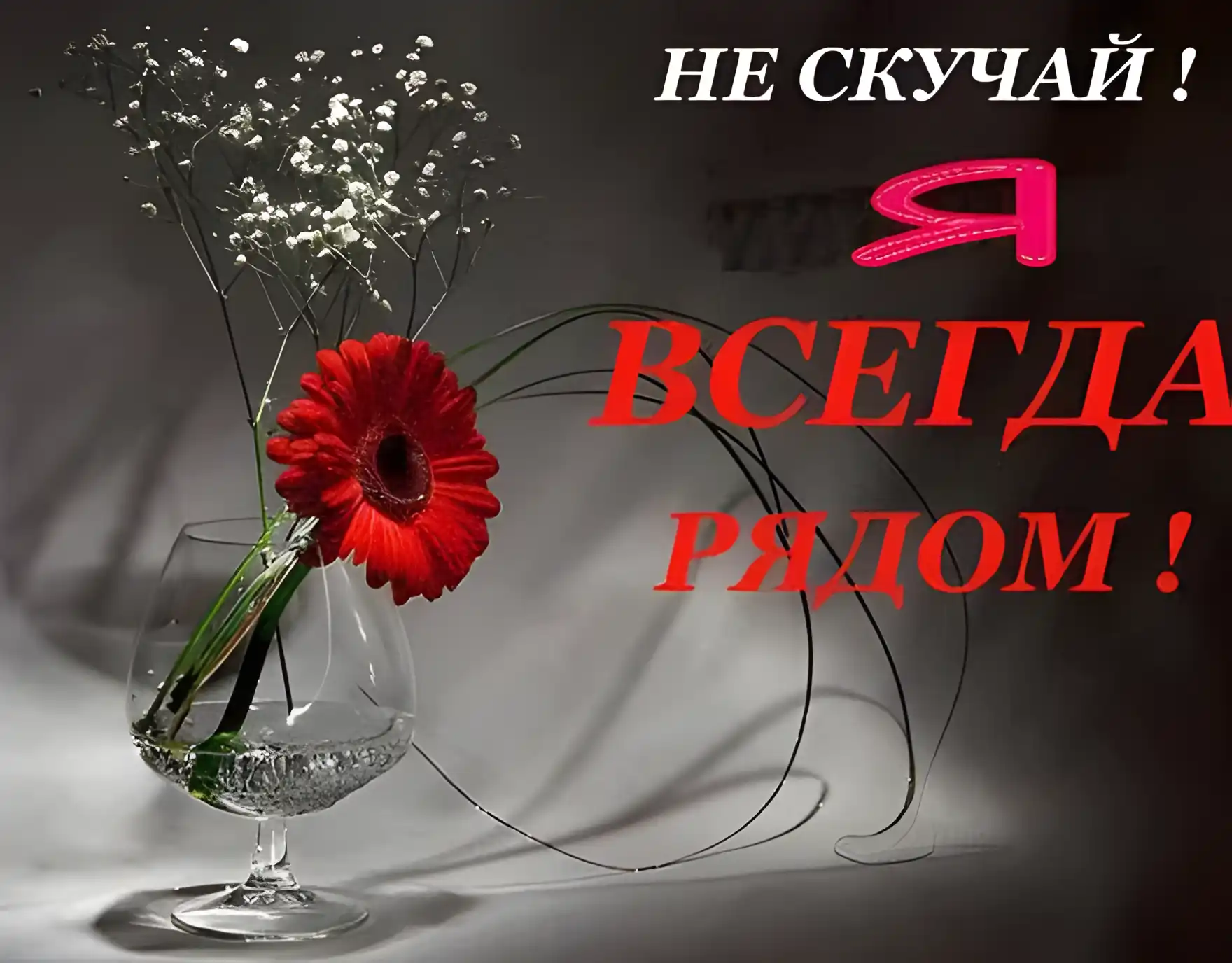 Открытка Открытки я рядом - Букет гербер в вазе: нежные поздравления | Красивая открытка #57