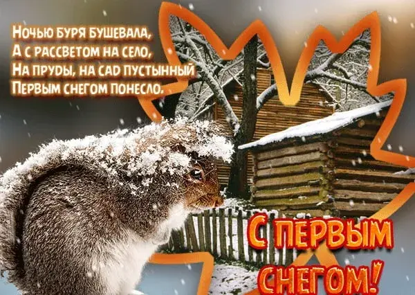 Открытка С первым снегом - Белка в снегу: Новогодняя открытка с зимним пейзажем | Красивая открытка #70