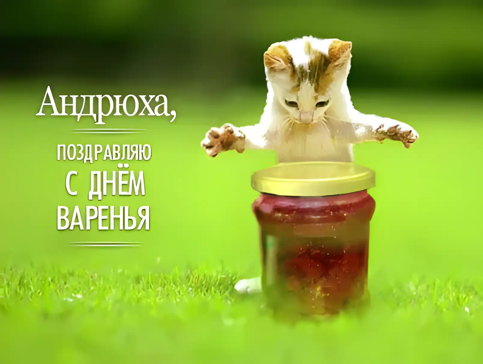 Открытка открытки с именем Андрей - Кот в банке с клубничным вареньем: смешная открытка | Красивая открытка #165